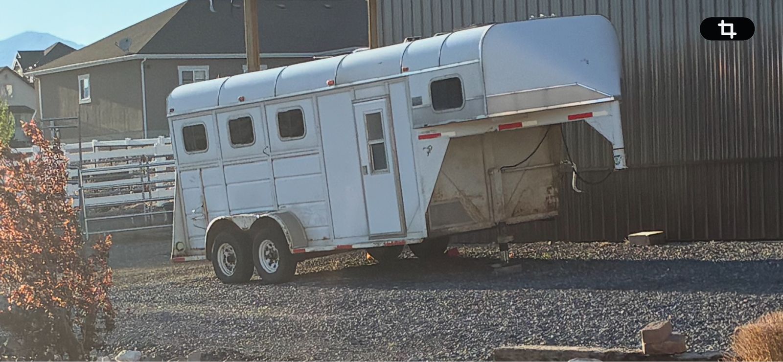 3 Horse trailer