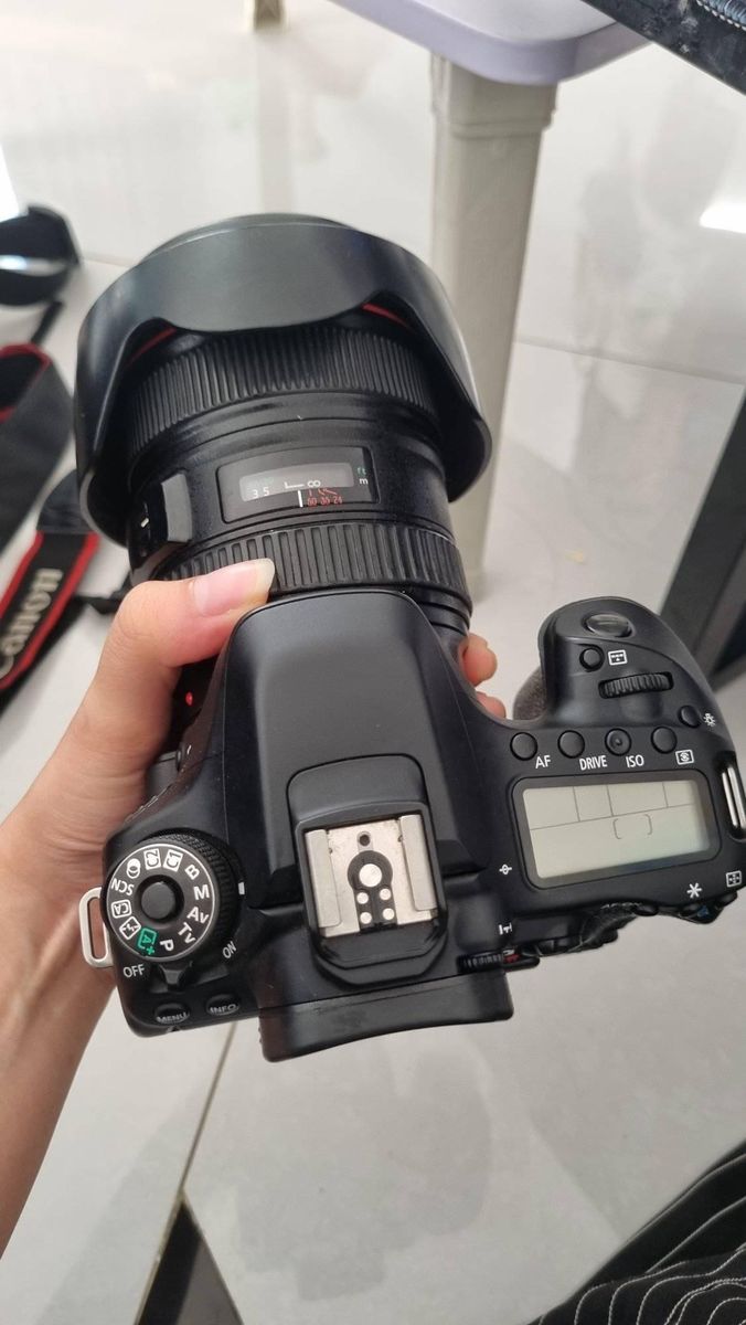 Canon 80d 24-105 f4