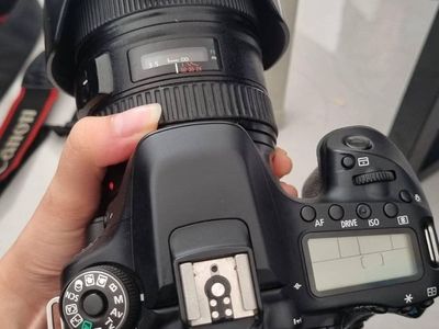 Canon 80d 24-105 f4