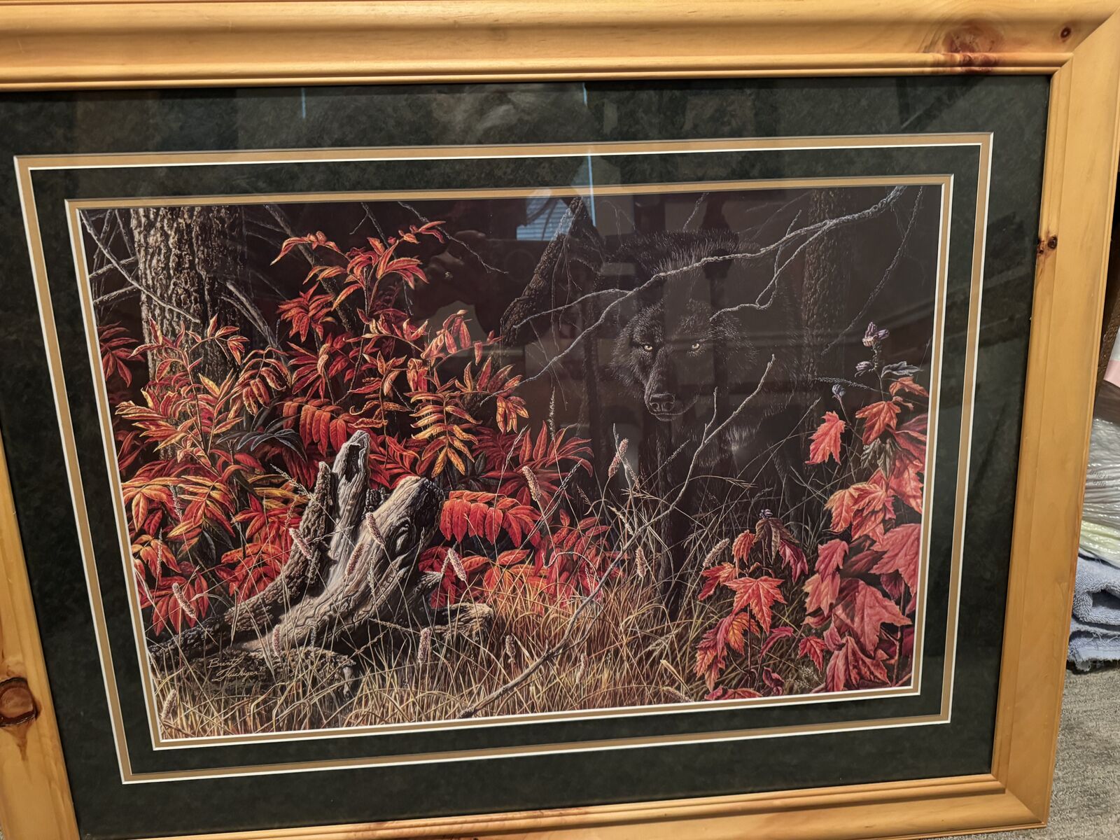 Black Wolf Print Framed and Matted by Brent Fluckiger