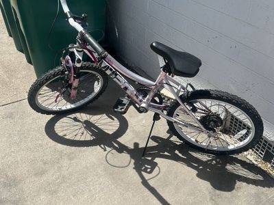 Kids 20 Inch Bike