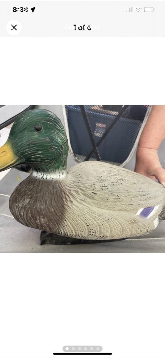Duck DeCoy Mutiple For Sale