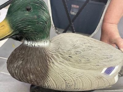 Duck DeCoy Mutiple For Sale