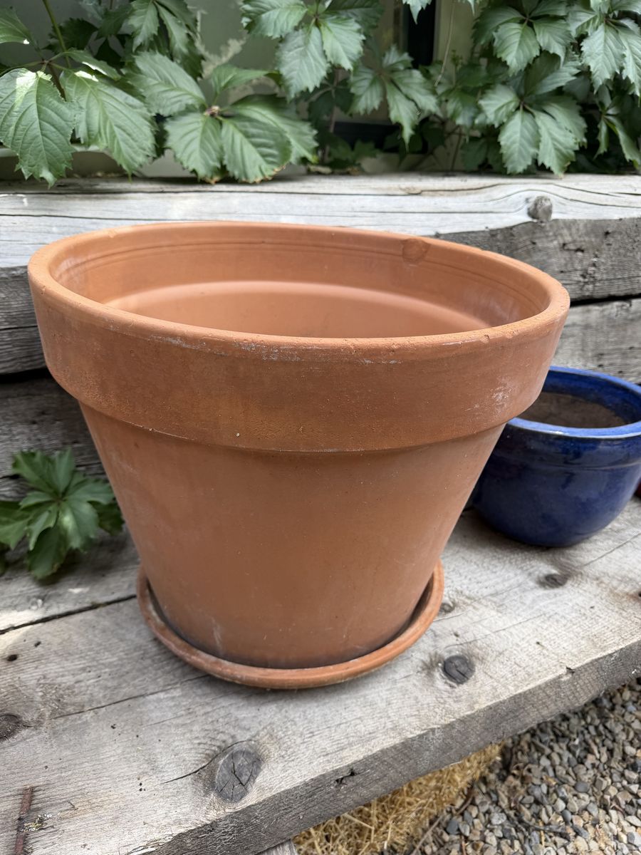 Main image 21