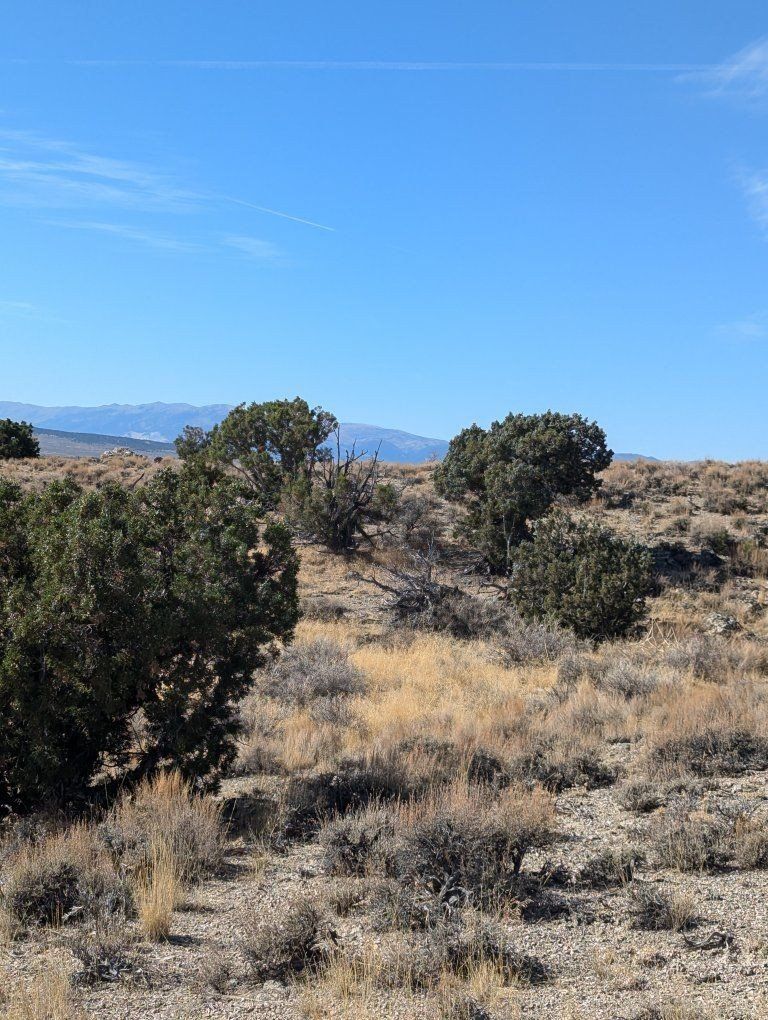 Main image 8