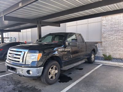 2012 FORD F150 XLT