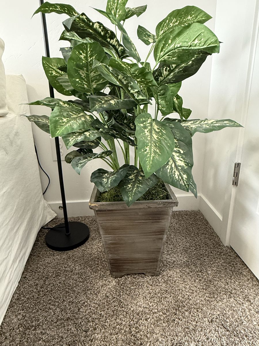 Large Artificial Plant in Decorative Square Wood Planter - Faux Diffenbachia