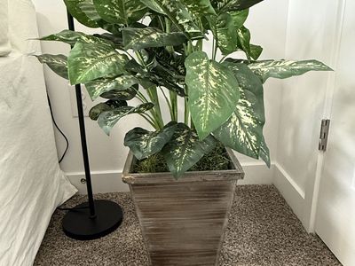 Large Artificial Plant in Decorative Square Wood Planter - Faux Diffenbachia