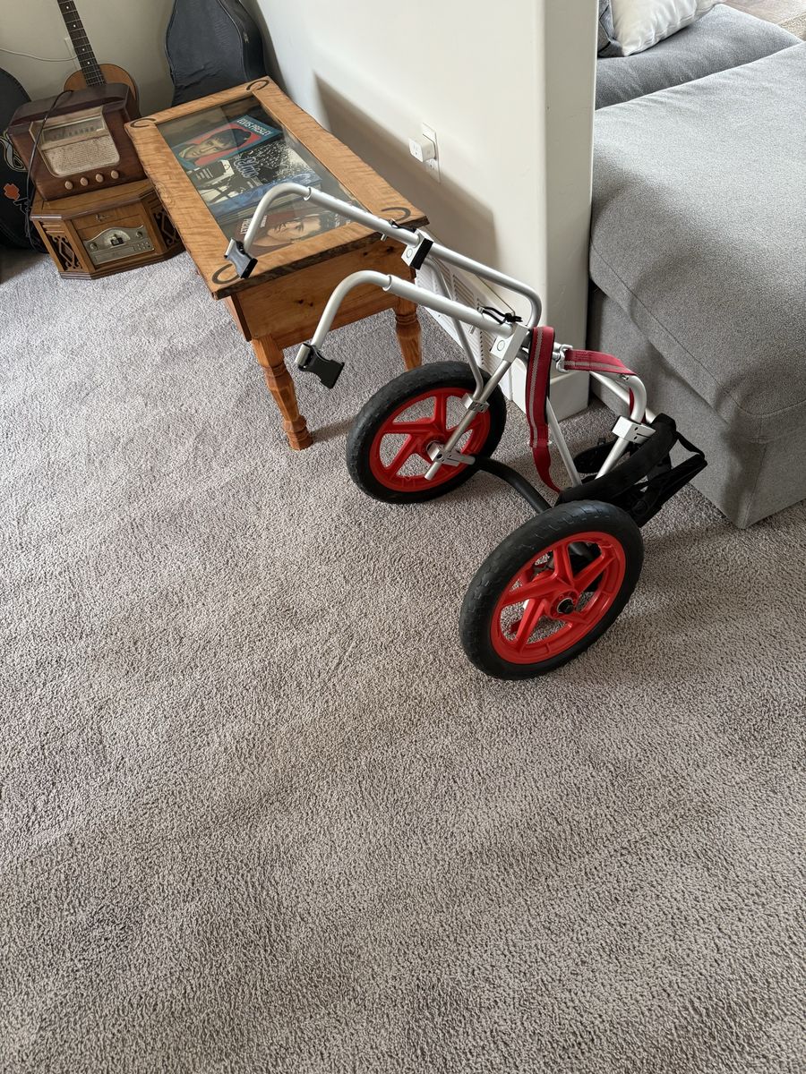 Dog wheelchair