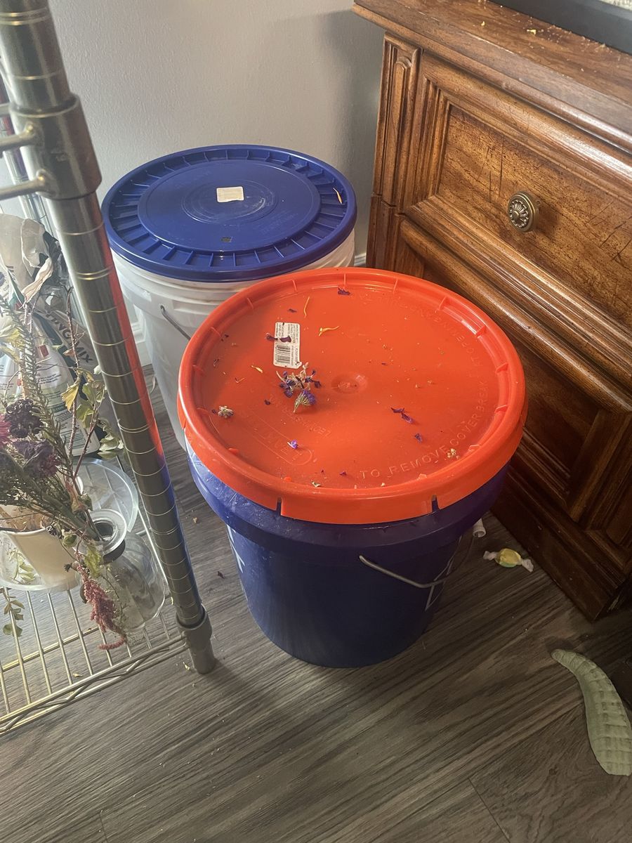 Premium Natural Plant Fertilizer – Aquarium Water