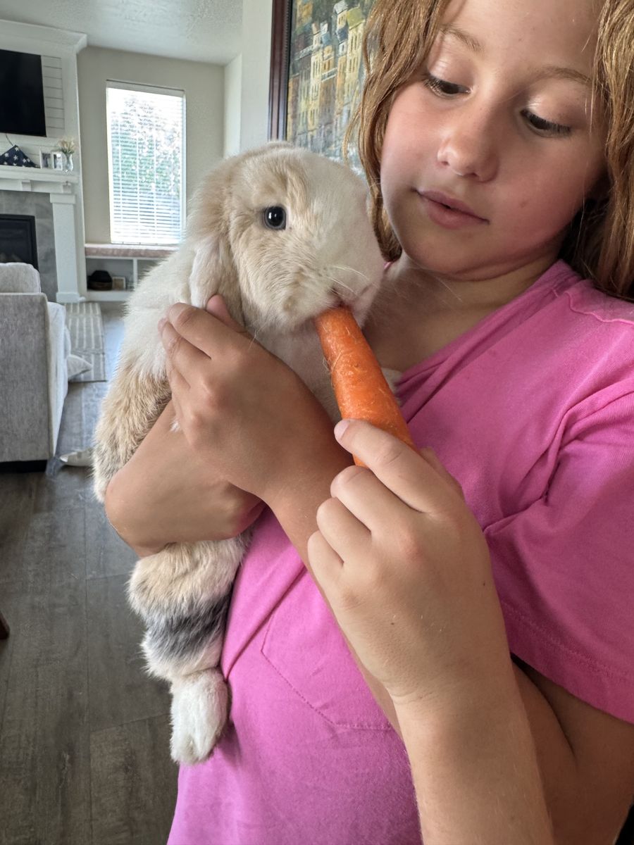 2 bunnies with cage