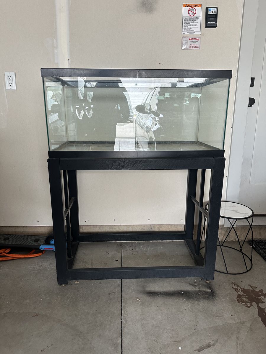 40 Gallon Breeder Tank With Aquarium Stand