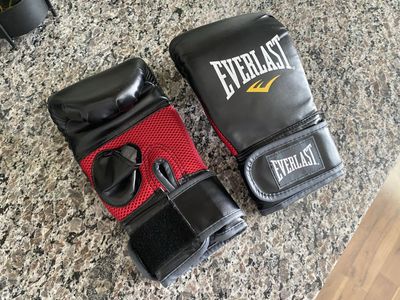 NEW Red and Black Everlast Boxing Gloves, 14 Oz