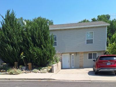 Apartment Rental