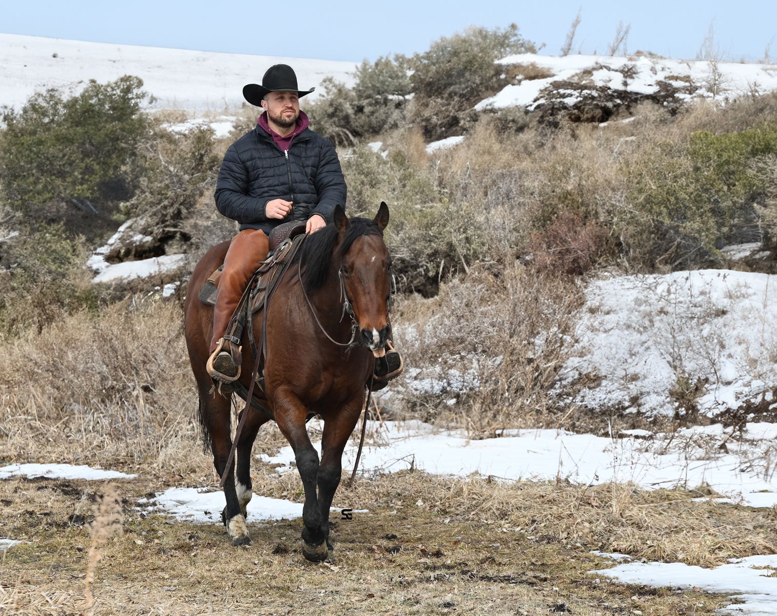 𝗭𝗮𝗻 𝗣𝗮𝗿𝗿 𝗕𝗮𝗿 𝗕𝗿𝗲𝗱 | 𝗔𝗤𝗛𝗔 𝗥𝗮𝗻𝗰𝗵 𝗚𝗲𝗹𝗱𝗶𝗻𝗴 𝗥𝗲𝗮𝗱𝘆 𝗳𝗼𝗿 𝗮 𝗝𝗼𝗯!