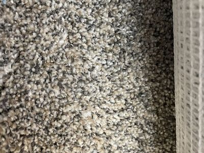 Carpet remnant