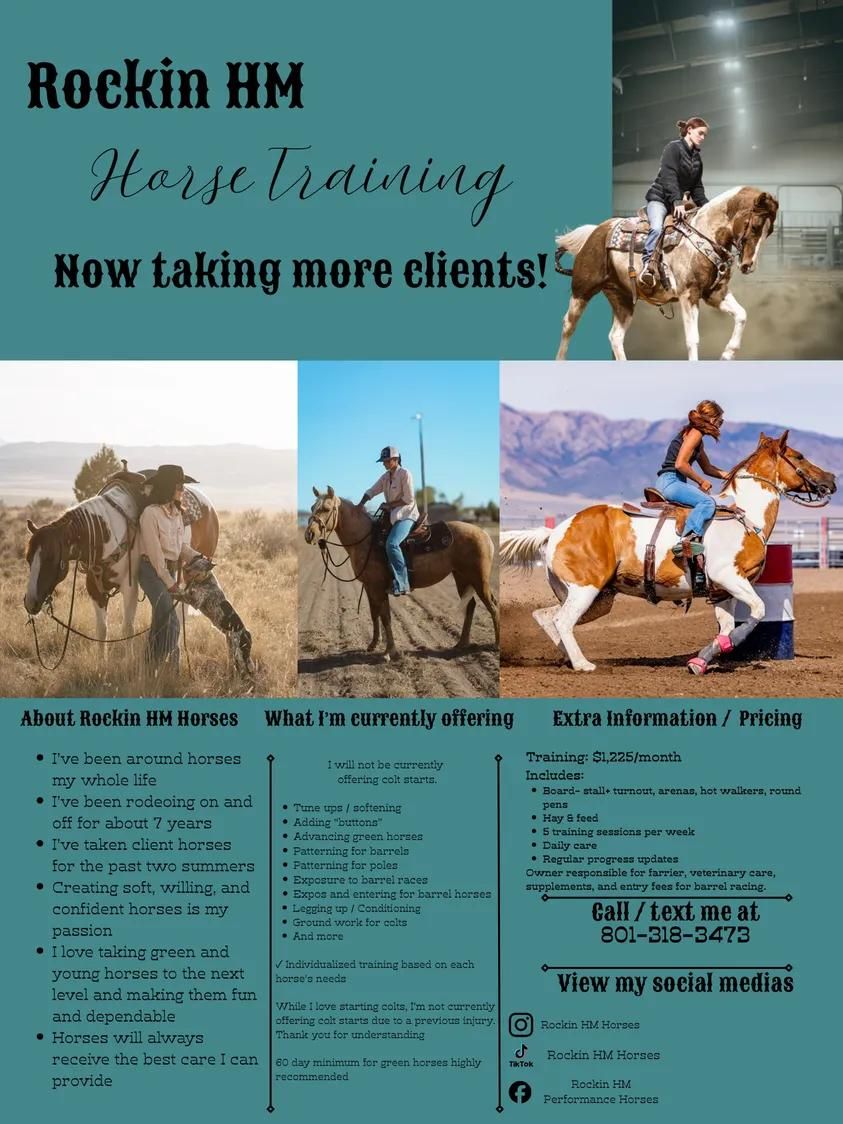 2 open horse training spots