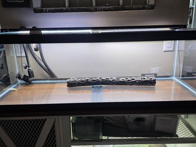 Fluval Plant 3.0 LED Light - 48–60" | 59W | Bluetooth