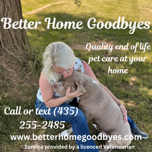 Better Home Goodbyes - In-home Euthanasia for dogs, cats, large and exotic animals
