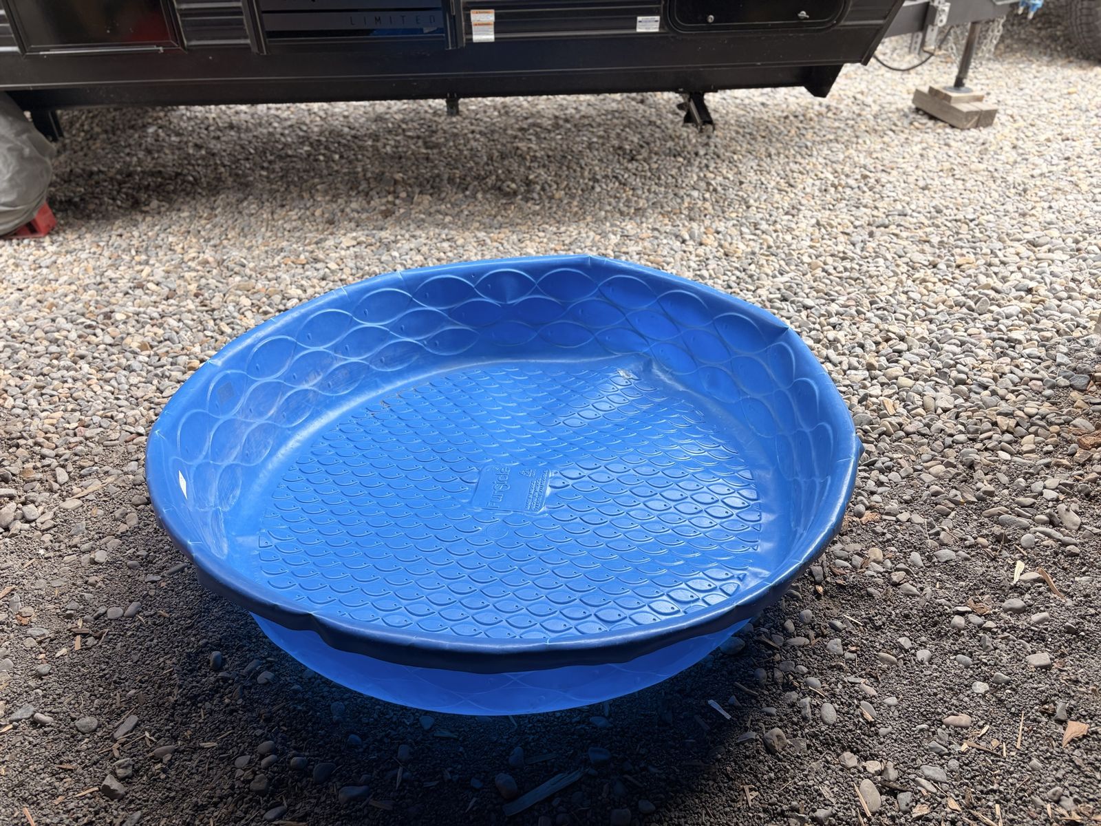Baby/dog pool 