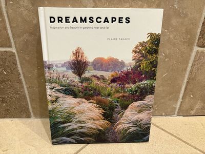 New Dreamscapes by Claire Takacs
