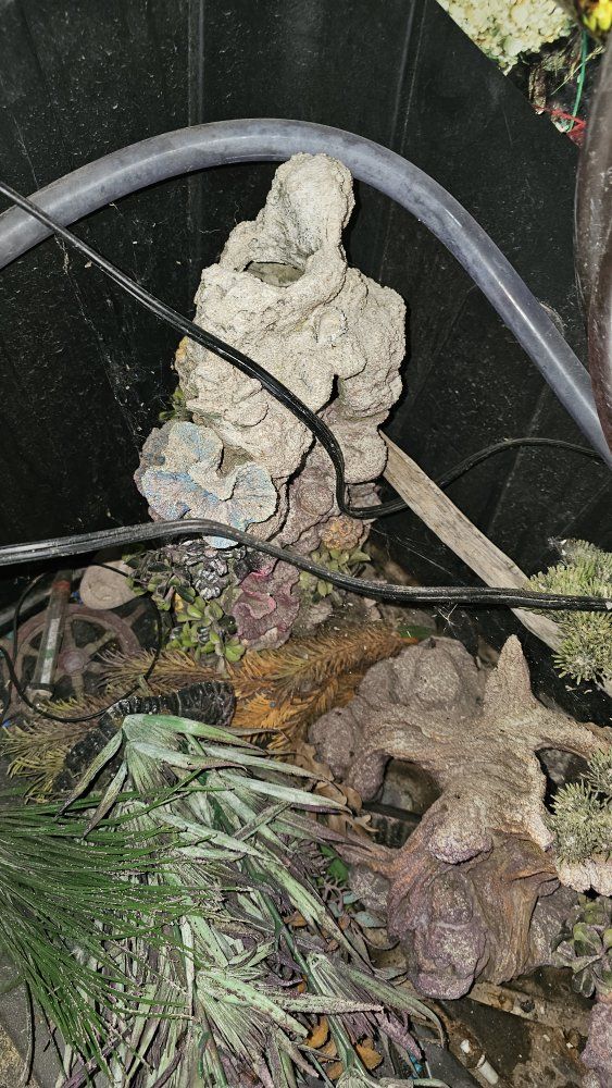 Main image 35