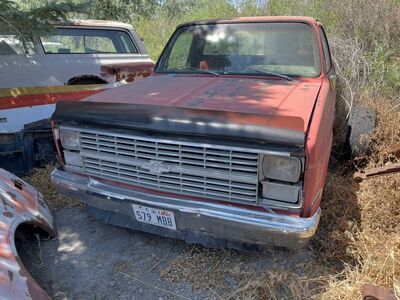 1983 Chevy Truck C10