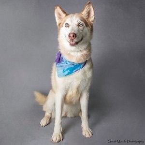 Hello my name is Chailey