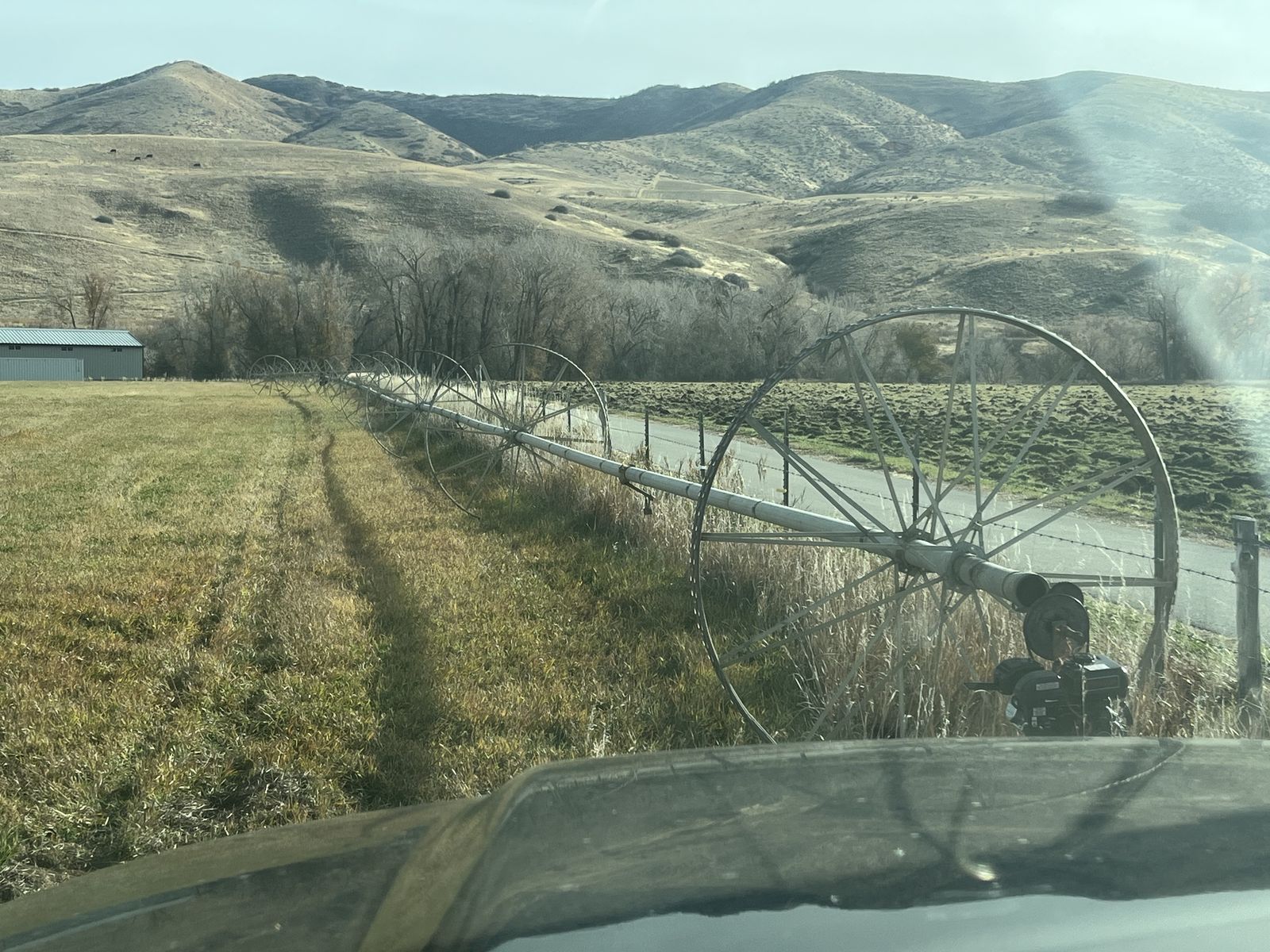 2 Quarter Mile Thunder Bird Wheel Line