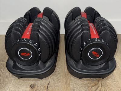 Bowflex SelectTech 552 Adjustable Dumbbells (Pair)