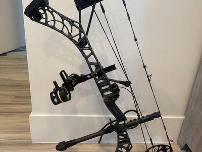 Mathews V3 31
