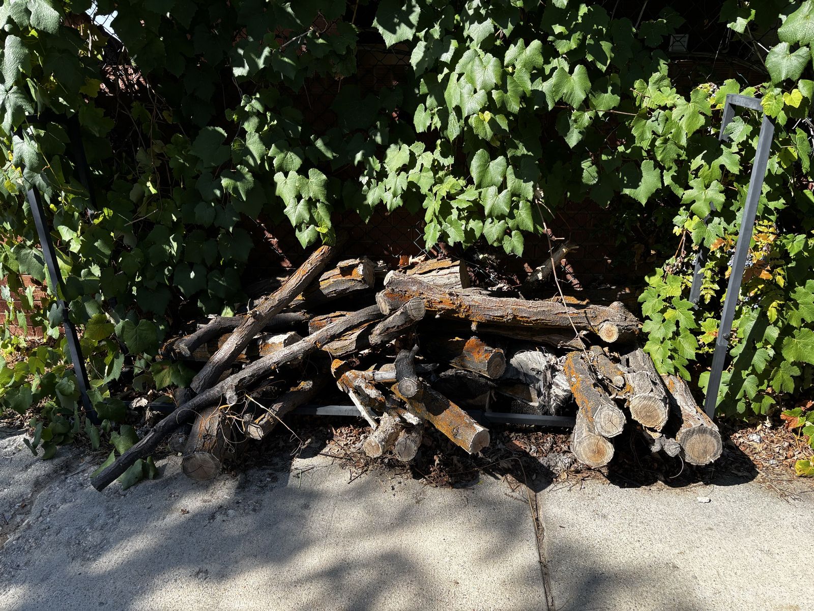 Main image 2