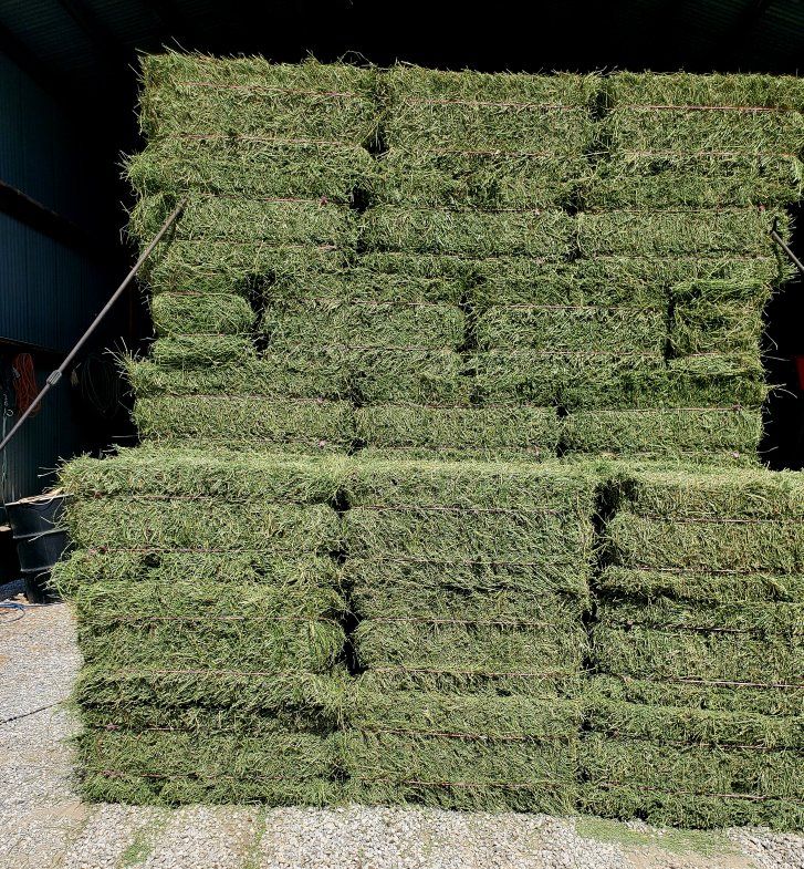 3rd crop clean alfalfa hay 65-70lb no rain in stack CASH only
