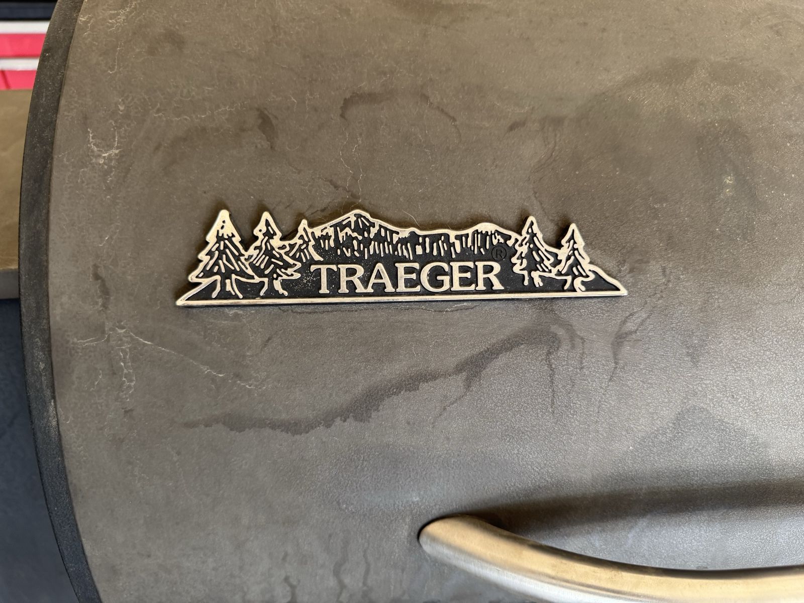 Trager smoker bbq