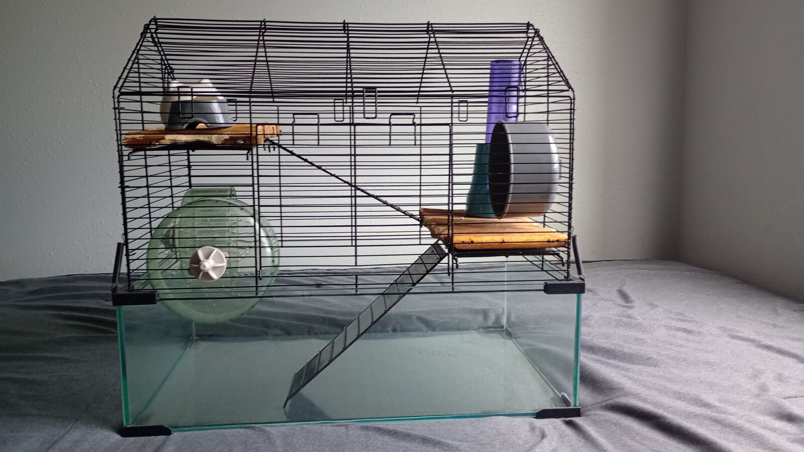 Small Animal Habitat for Sale + Accessories