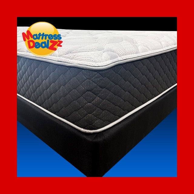 NEW MDZZ's "Griffin" Plush - All Sizes! 4 Locations!