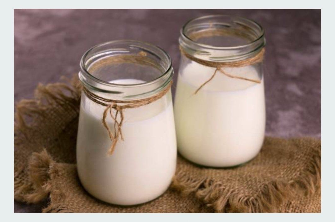 Fresh raw goat milk, yogurt and cheese