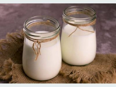 Fresh raw goat milk, yogurt and cheese