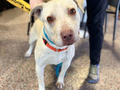 Hello my name is Daryl