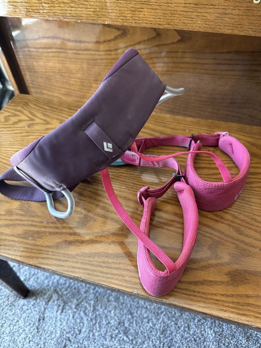 Black Diamond Kids Climbing Harness
