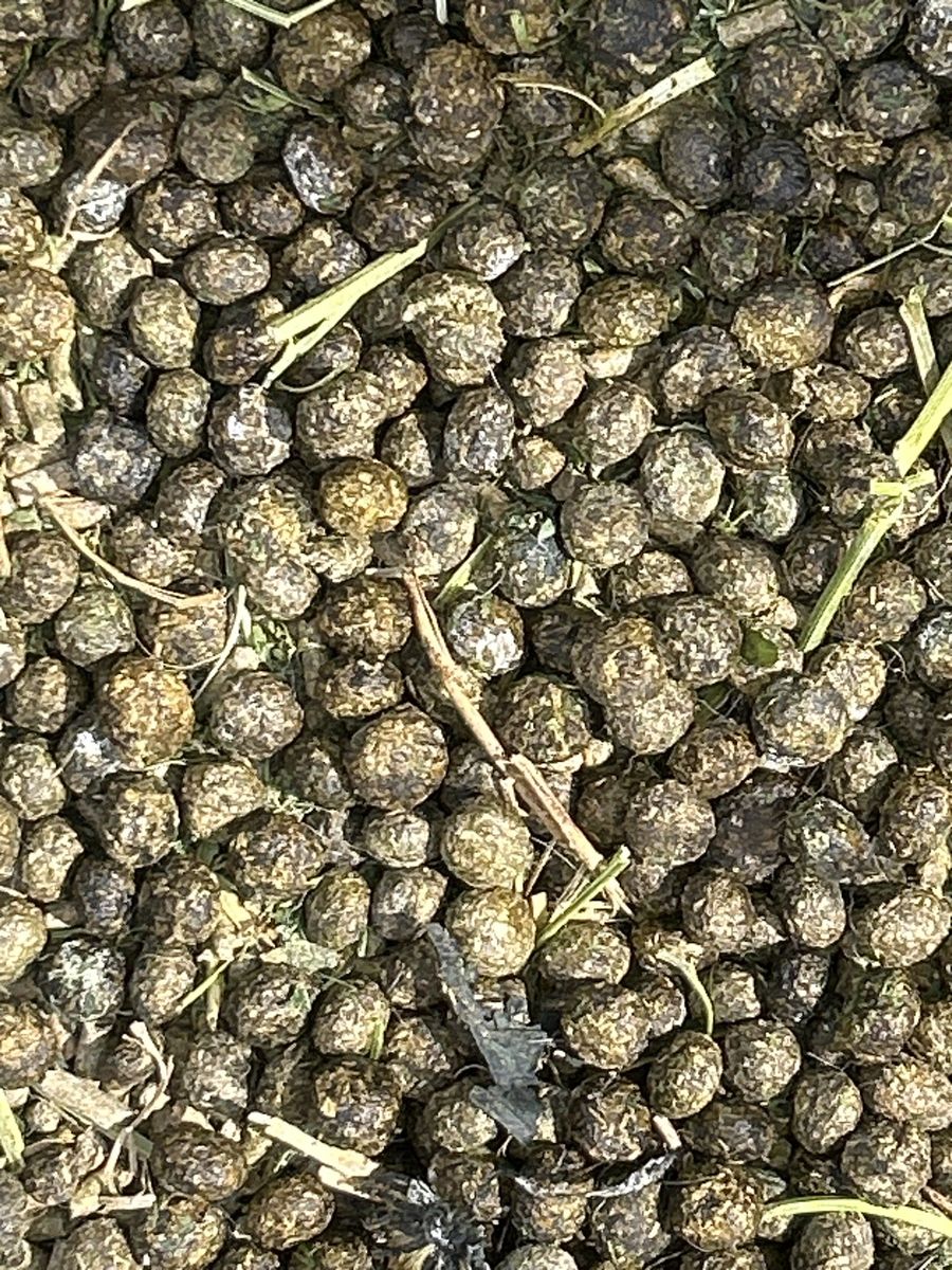 Rabbit manure/fertilizer