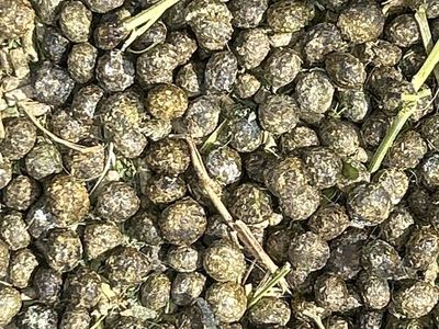 Rabbit manure/fertilizer