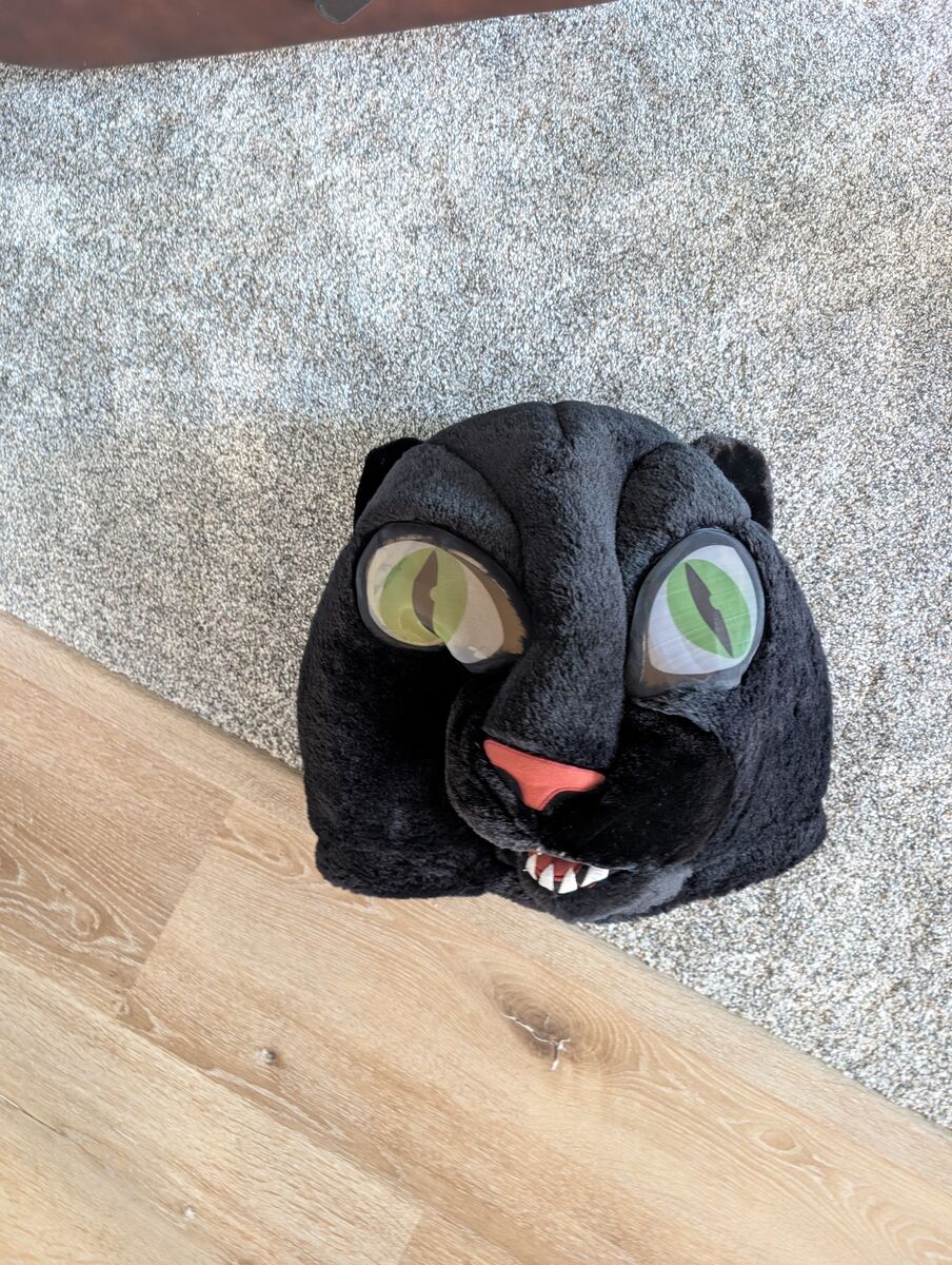 Cat Head Halloween Costume for Sale for Teen or Adult