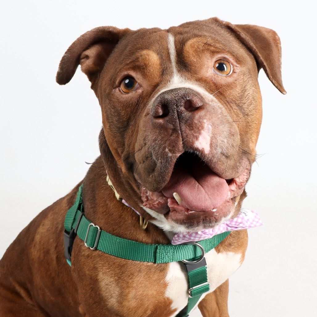 Hello my name is Mater