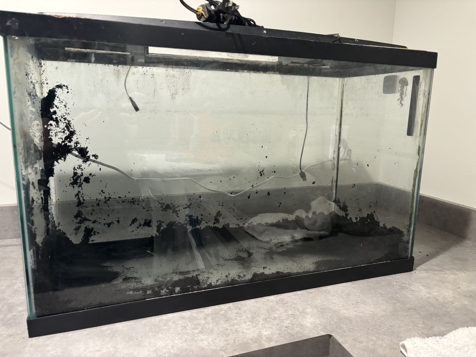 29 gallon with stand