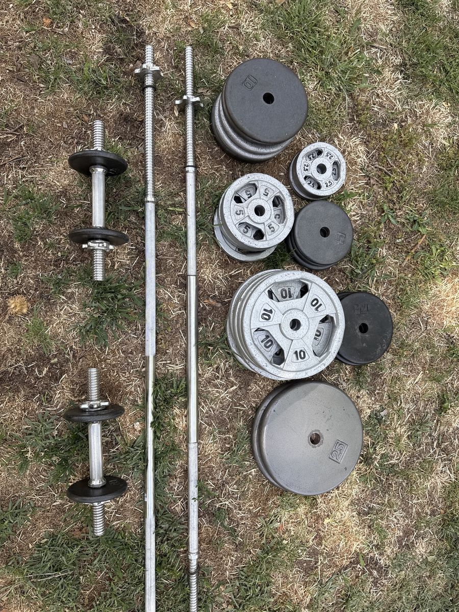 Weights/plates, curl bars, bench press bars.