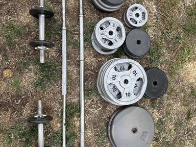 Weights/plates, curl bars, bench press bars.