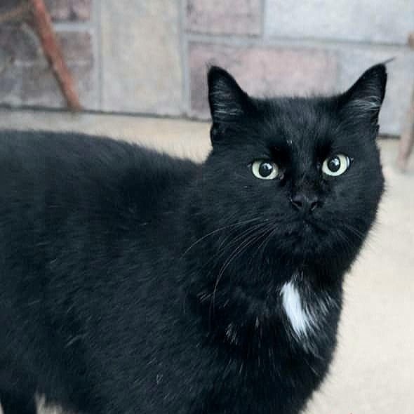 Hello my name is Rhys