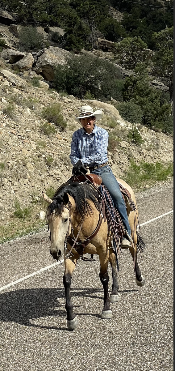4 Year Old Buckskin Mare