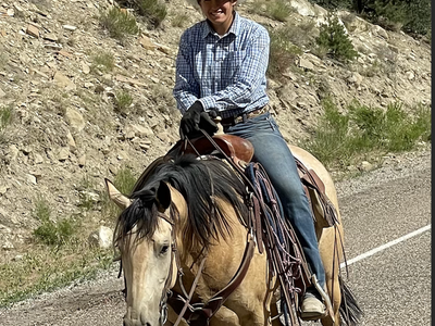 4 Year Old Buckskin Mare